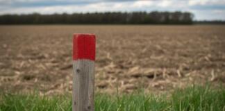 bunte Holzpfähle auf Acker und Wiese