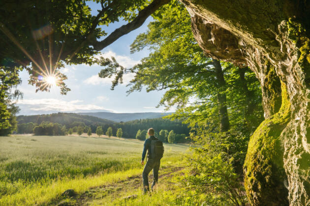 Entdeckungsreise im naturpark steinwald