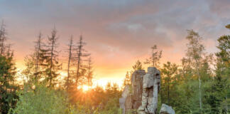 Entdeckungsreise im Naturpark Steinwald