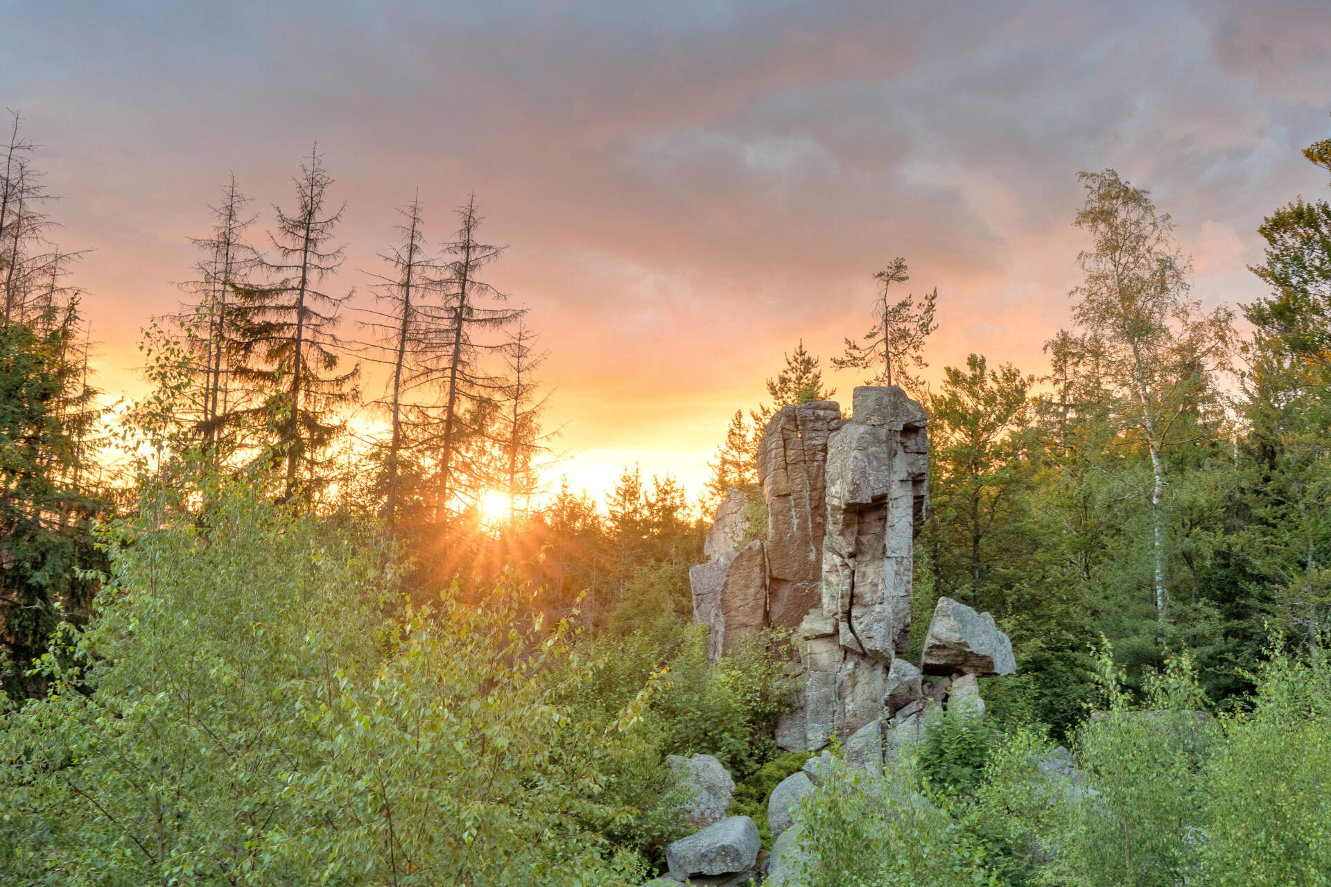 Entdeckungsreise im Naturpark Steinwald