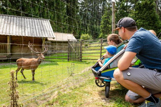 Entdeckungsreise im naturpark steinwald