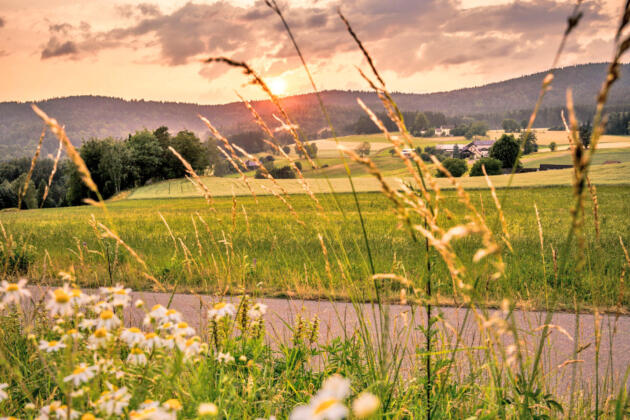 Entdeckungsreise im naturpark steinwald