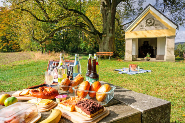 Entdeckungsreise im naturpark steinwald