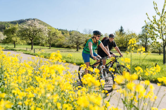 Radfahren am fr&uuml;chtetrauf