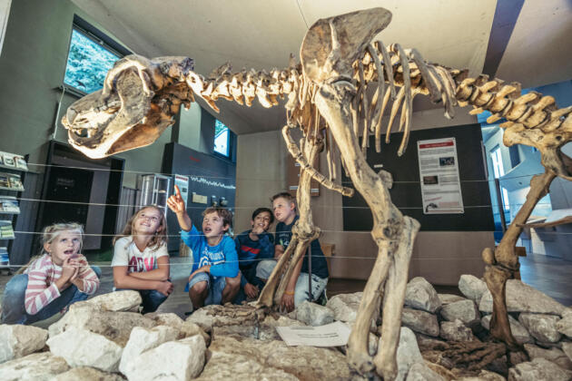 Familienspa&szlig; in der heidenheimer brenzregion