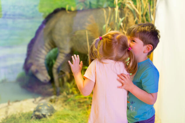 Familienspa&szlig; in der heidenheimer brenzregion