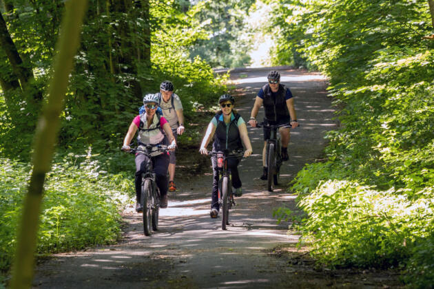 Wandern in bad marienberg