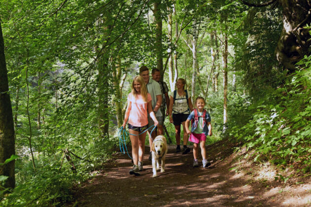 Wandern in bad marienberg