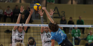 VC Wiesbaden gegen USC Münster