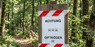 Alarm für Hundehalter Verdacht auf Giftköder in Darmstadt
