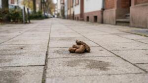 Insolvenz der ceramist one gmbh in wiesbaden