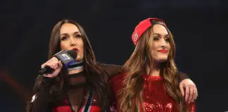 Die Bella Twins in der WWE vor ihrem größten Abschied