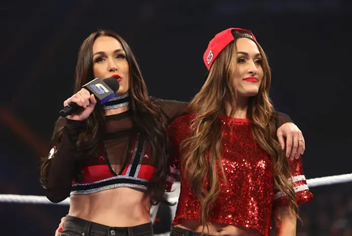 Die Bella Twins in der WWE vor ihrem größten Abschied