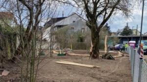 Wichtige info der stadt ginsheim-gustavsburg zur brut- und setzzeit