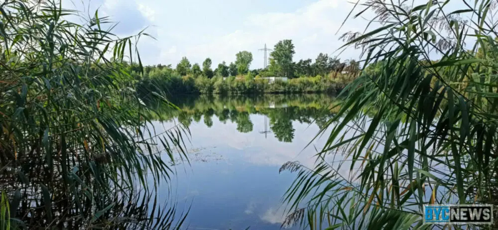 Kritik an den zuständen am ikasee - ignorante menschen und ihr verhalten Kritik an den zuständen am ikasee - ignorante menschen und ihr verhalten