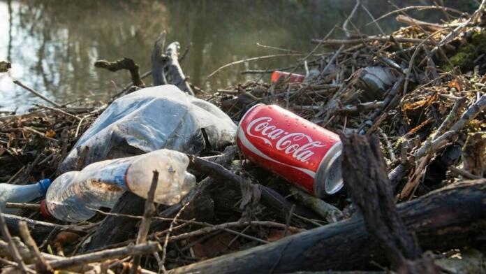 Kritik an den Zuständen am Ikasee - Ignorante Menschen und ihr Verhalten Kritik an den Zuständen am Ikasee - Ignorante Menschen und ihr Verhalten