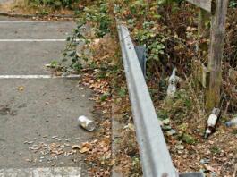 Mainz-Mombach Zwischen Fast-Food-Müll und Exkrementen (3)