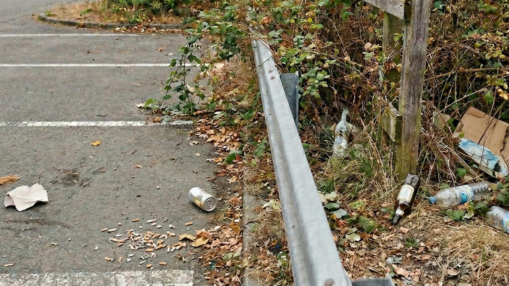 Mainz-Mombach Zwischen Fast-Food-Müll und Exkrementen (3)