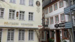 Informationen zu ausgangssperre und kontaktbeschränkungen in mainz 1