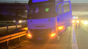 Kastrationsprojekt für straßenkatzen in wiesbaden gefördert Kastrationsprojekt für straßenkatzen in wiesbaden gefördert 1