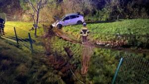 300 kg schwere schweine ausgebüxt - polizei bedankt sich bei den helfern 2