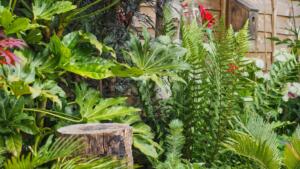 Der eigene pool: bewegung, entspannung und geselligkeit direkt im garten 1