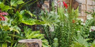 Garten, Pflanzen,
