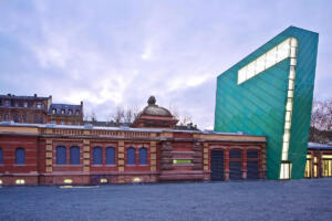 Die asiatische hornisse in hessen auf dem vormarsch