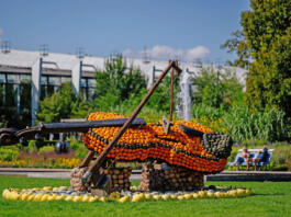 Blütenpracht und Retro-Charme: Das Jubiläumsjahr im egapark Erfurt