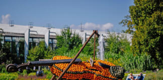 Blütenpracht und Retro-Charme: Das Jubiläumsjahr im egapark Erfurt