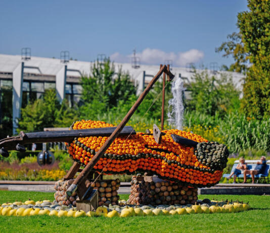 Blütenpracht und Retro-Charme: Das Jubiläumsjahr im egapark Erfurt