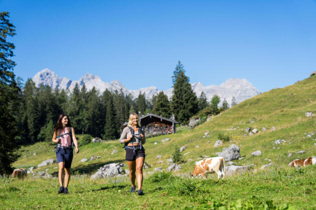 Der perfekte h&uuml;ttenurfall in den alpen f&uuml;r die ganze familie