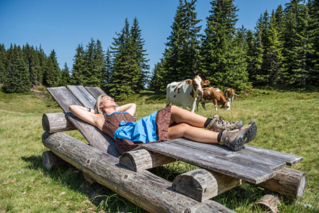 Der perfekte h&uuml;ttenurfall in den alpen f&uuml;r die ganze familie
