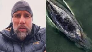 Alarmierende zahlen der dlrg - immer mehr kinder können nicht schwimmen Alarmierende zahlen der dlrg - immer mehr kinder können nicht schwimmen 2