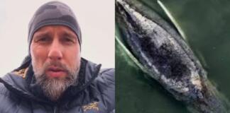 Aktuell Robert Marc Lehmann zur Hilfe für Wal Timmy