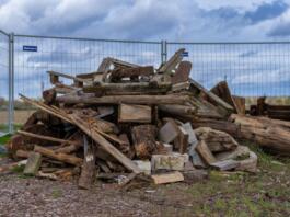 Artenschutz in der Eselswiese