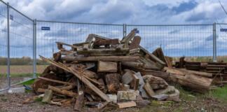 Artenschutz in der Eselswiese