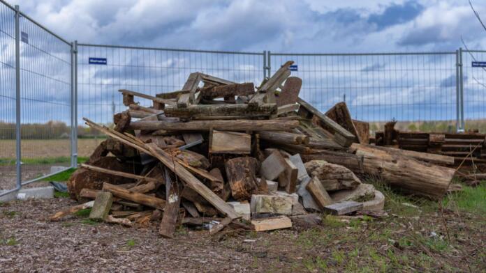 Artenschutz in der Eselswiese