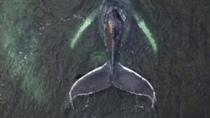 Sommerurlaube richtig vorbereiten – ohne stress in die schönsten wochen des jahres 1