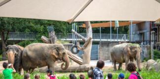 Die 5 spannendsten Ausflugsziele in Karlsruhe