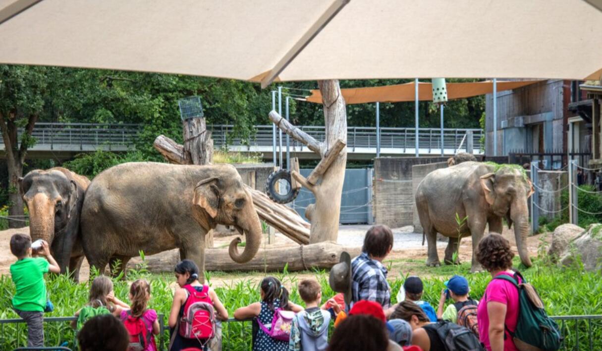 Die 5 spannendsten Ausflugsziele in Karlsruhe Die 5 spannendsten Ausflugsziele in Karlsruhe