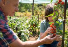 Tipps für Snackgemüse aus dem eigenen Garten Erntefrischer Genuss Tipps für Snackgemüse aus dem eigenen Garten