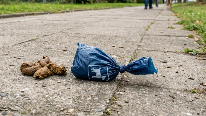 Leserbrief aus Mainz-Hechtsheim „Schluss mit der Respektlosigkeit“ Leserbrief aus Mainz-Hechtsheim „Schluss mit der Respektlosigkeit“