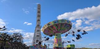 Mainzer Rhein-Frühling