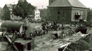 Schafe als natürliche rasenmäher in riedstadt 1
