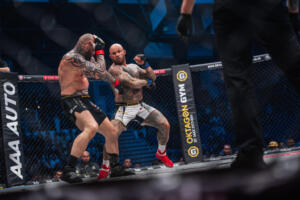 Auto landet nach unfall in hochheim am main im fluss