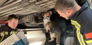 Tierrettung in Wiesbaden