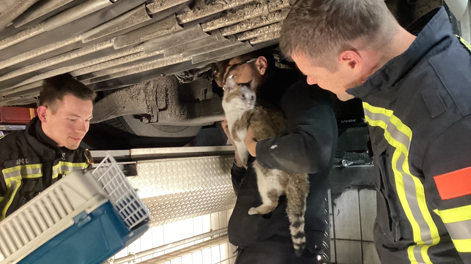 Tierrettung in Wiesbaden