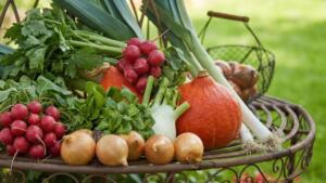 Bergabenteuer für groß und klein: ihr perfekter urlaub im pillerseetal Bergabenteuer für groß und klein: ihr perfekter urlaub im pillerseetal 5