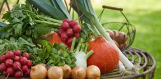 Tipps für Freizeitgärtner Alte Gemüsesorten neu entdecken